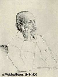 A. Weichselbaum, 1845-1920, австрийский патолог