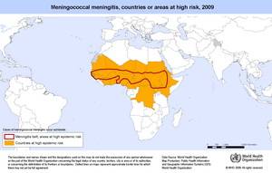 Менингитный пояс Африки